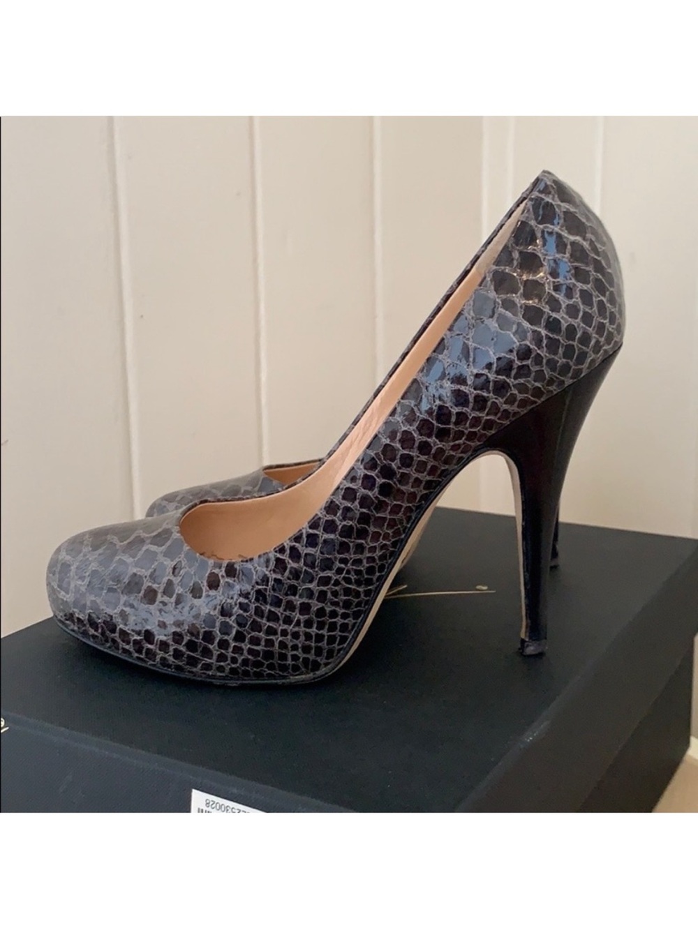 Giuseppe Zanotti  Snake Skin Leather Pumps